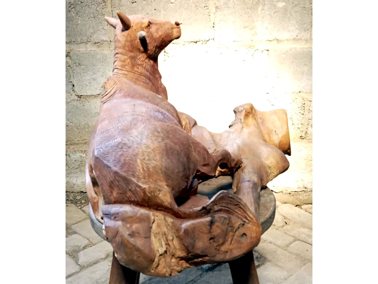 Kerbau/Sapi - 1 Ekor Sapi
